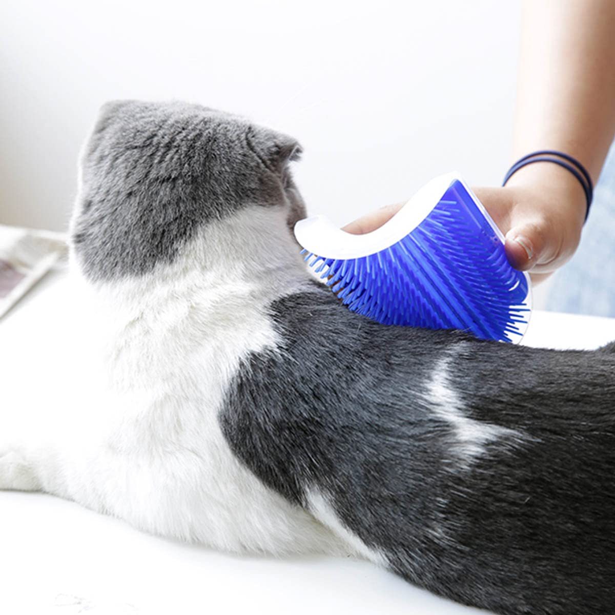 Cat Self-Groomer Corner Wall Hair-Removing Massage Brush
