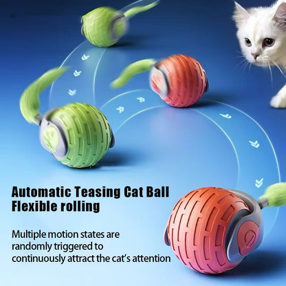 Fast Rolling Ball Cat Toy Interactive Exercise or Play for Cats