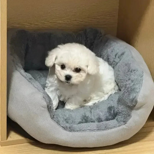 Soft Warm Dog Basket