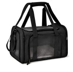 Pet Travel Carrier
