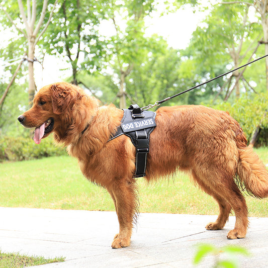Personalized Reflective No-Pull Dog Harness with Leash