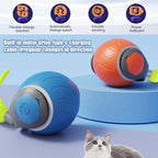 Smart Speedy Cat Toy Ball for bored indoor cats