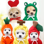 Warm Winter Dog Fruit Hoodie