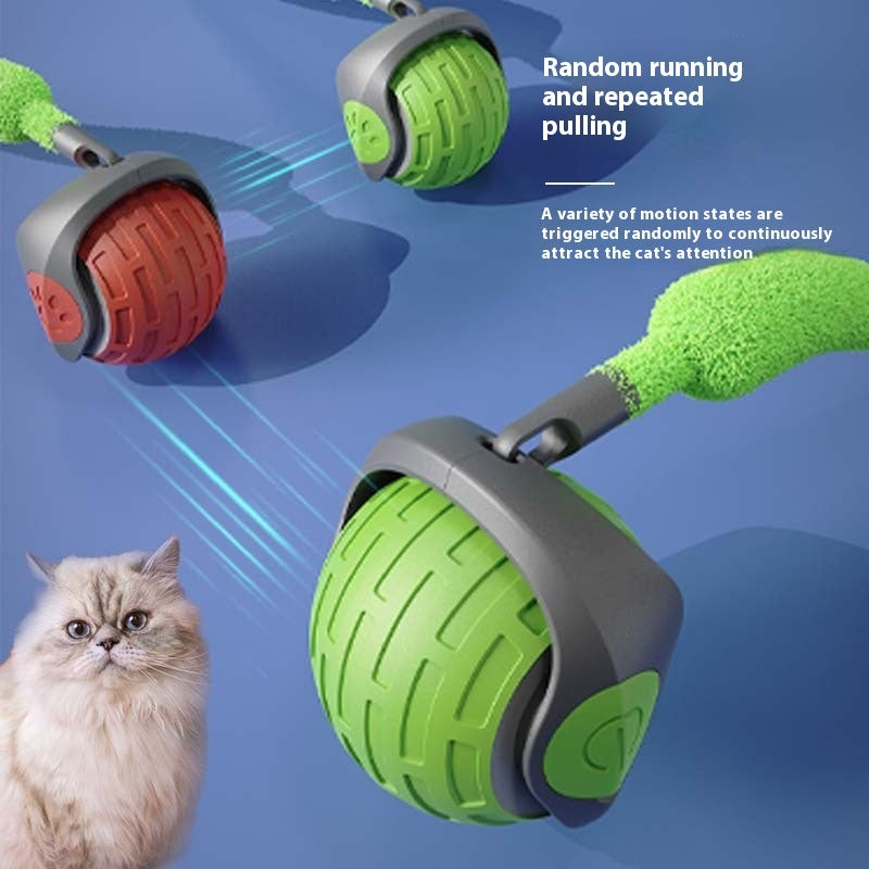 Fast Rolling Ball Cat Toy Interactive Exercise or Play for Cats