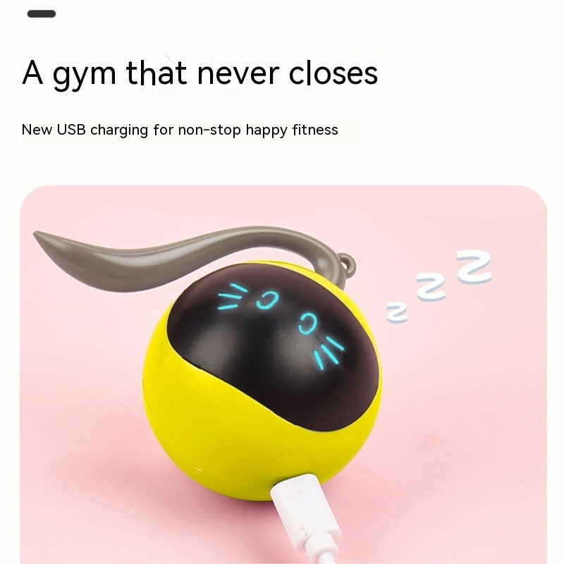Electric Cat Toy Ball Interactive and Rolling