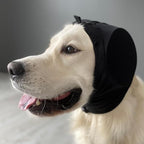 Dog Hearing Protection Earmuffs For Thunder Or Fireworks