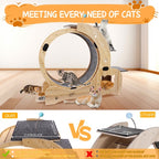 ToyTigris 6-in-1 Cat Fitness Wheel and Activity Centre