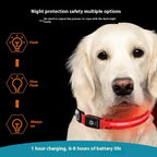 Waterproof LED Pet Collar