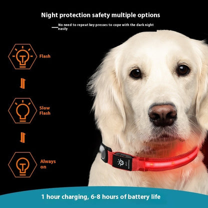 Waterproof LED Pet Collar
