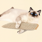 Natural Catnip Pillow Toy