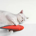 Plush Fish Catnip Toy