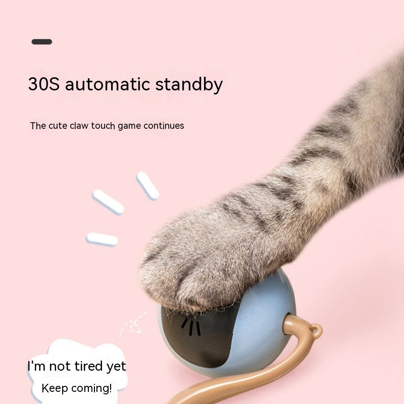 Electric Cat Toy Ball Interactive and Rolling