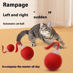 ToyTigris Super Drive Smart Cat Toy Ball