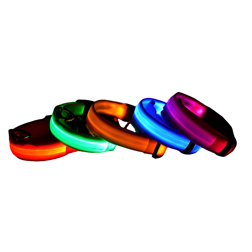 LED Night Safety Dog Collar
