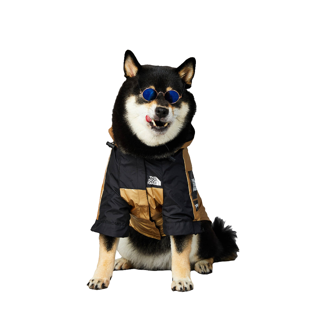 Large Dog Raincoat – Waterproof Pet Jacket