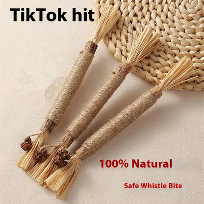 Cat Bite Stick Toy