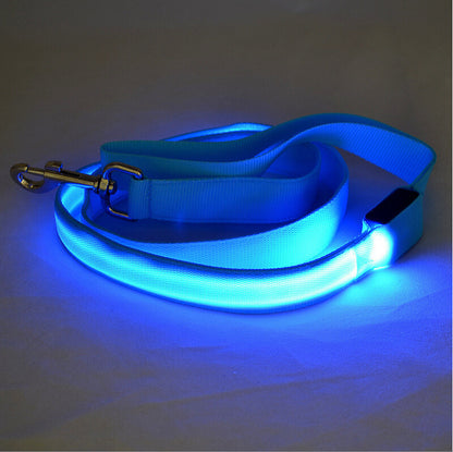 Toytigris LED Dog Leash