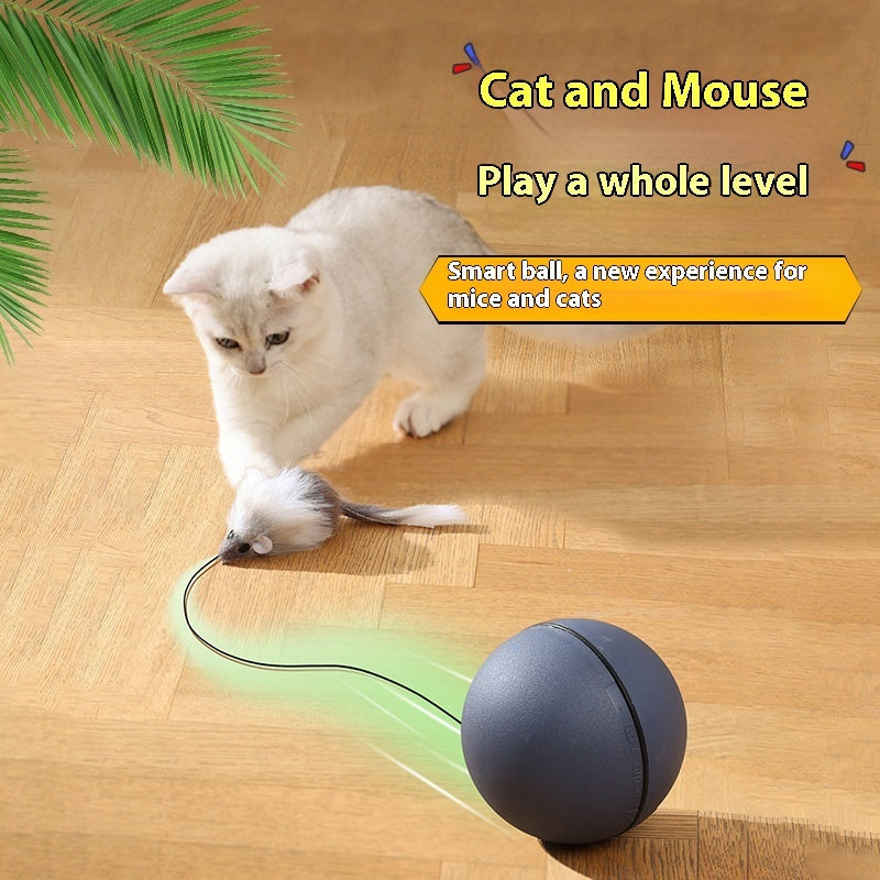 ToyTigris Intelligent Moving Ball With a Mouse Tail