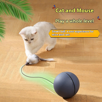 ToyTigris Intelligent Moving Ball With a Mouse Tail
