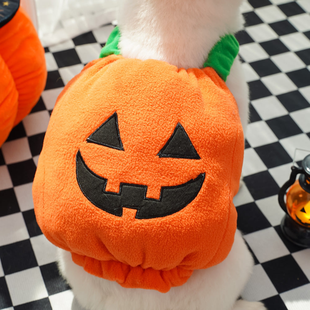 Halloween Pumpkin Costume for Pets