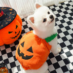 Halloween Pumpkin Costume for Pets