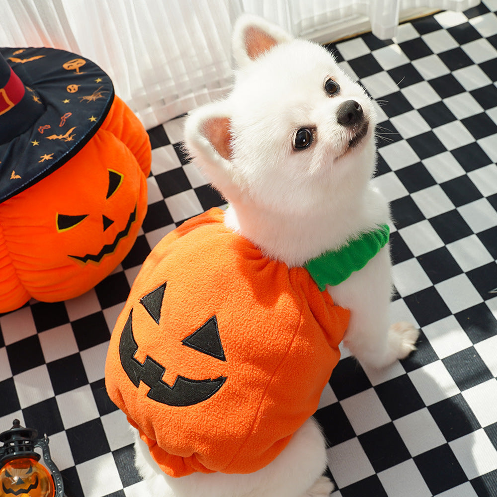 Halloween Pumpkin Costume for Pets