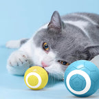 ToyTigris Electric Gravity Cat Toy Ball