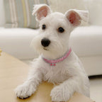 Crystal Pet Collar Bling Rhinestone
