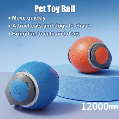 Speedy Cat Toy Ball with Tail Interactive USB Rechargeable