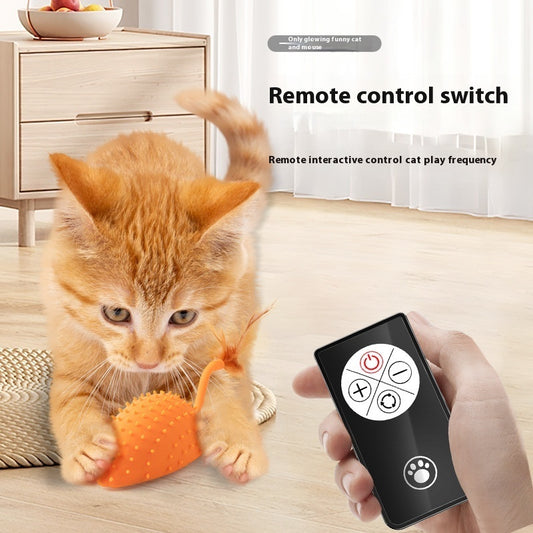Remote Control Mouse Cat Toy