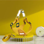 Reflective Dog Harness & Leash