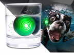 LED Dog Night Safety Light