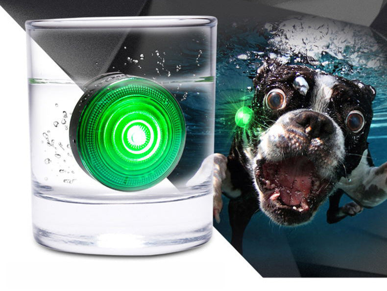 LED Dog Night Safety Light