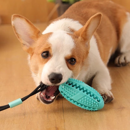 Suction Cup Pull Rope Leaking Pet Toy Ball Tpr Molar Teeth Cleaning Vent Ball Dog Toy Ball