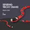 ToyTigris Moving Snake Cat Toy
