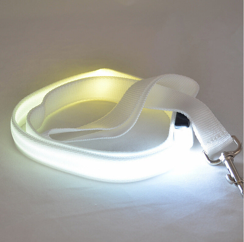 Toytigris LED Dog Leash