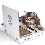 ToyTigris Cat Scratch Board Computer