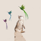 ToyTigris Feather Bird Cat Toy with Bell