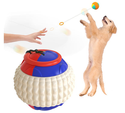 Throwing Ball Bite Resistant Dog Toy