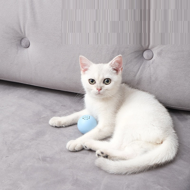 ToyTigris Cat Music and Sound Ball