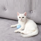 ToyTigris Cat Music and Sound Ball