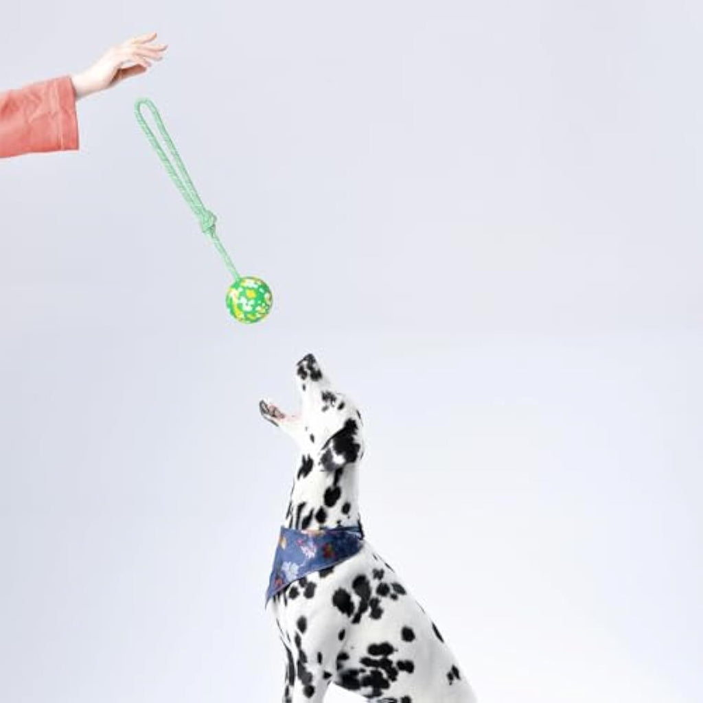 Natural Solid Rope Rubber Ball Dog Toy