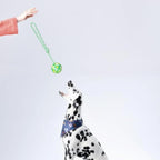 Natural Solid Rope Rubber Ball Dog Toy