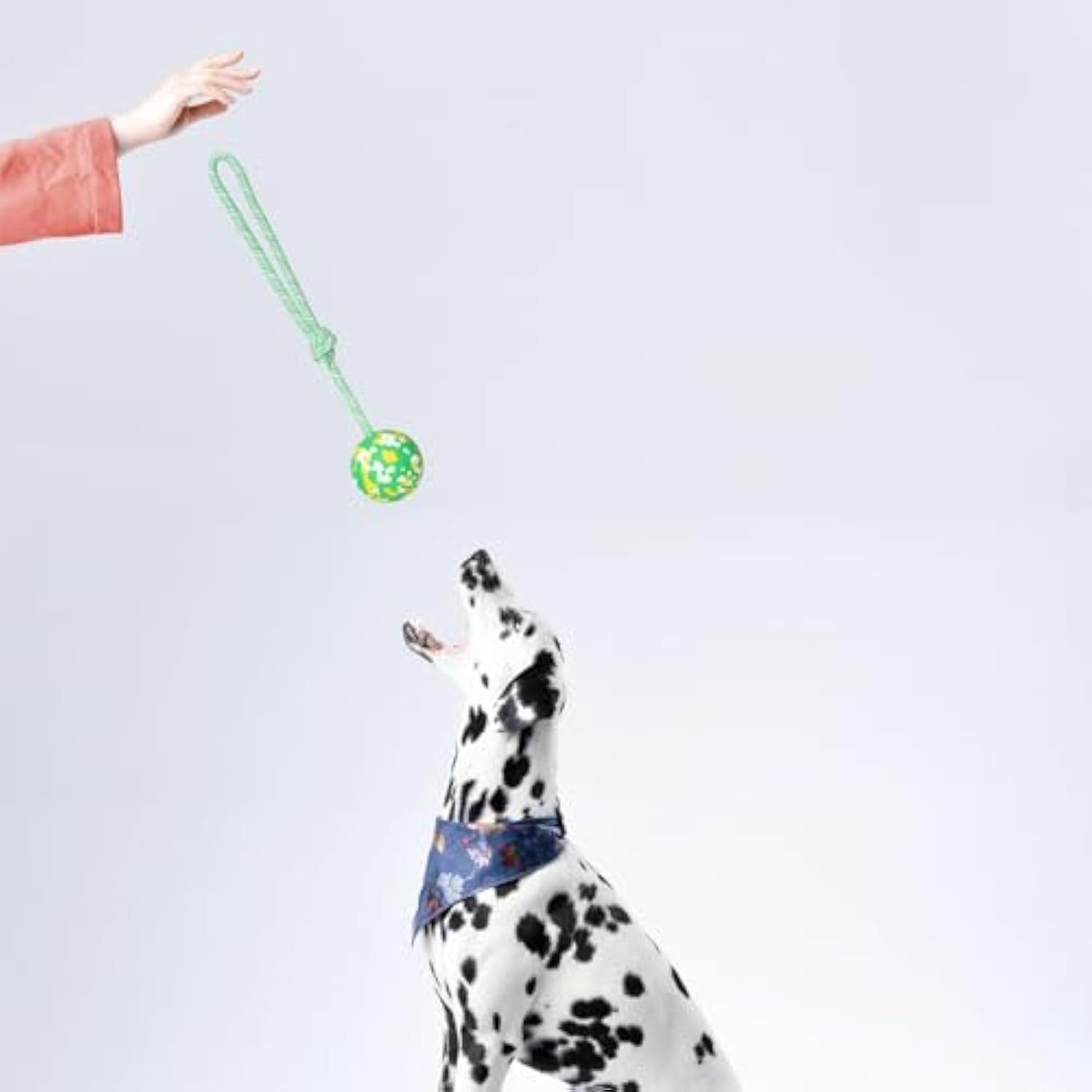 Natural Solid Rope Rubber Ball Dog Toy