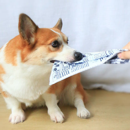 Realistic Bite-resistant Paper Dog Toy