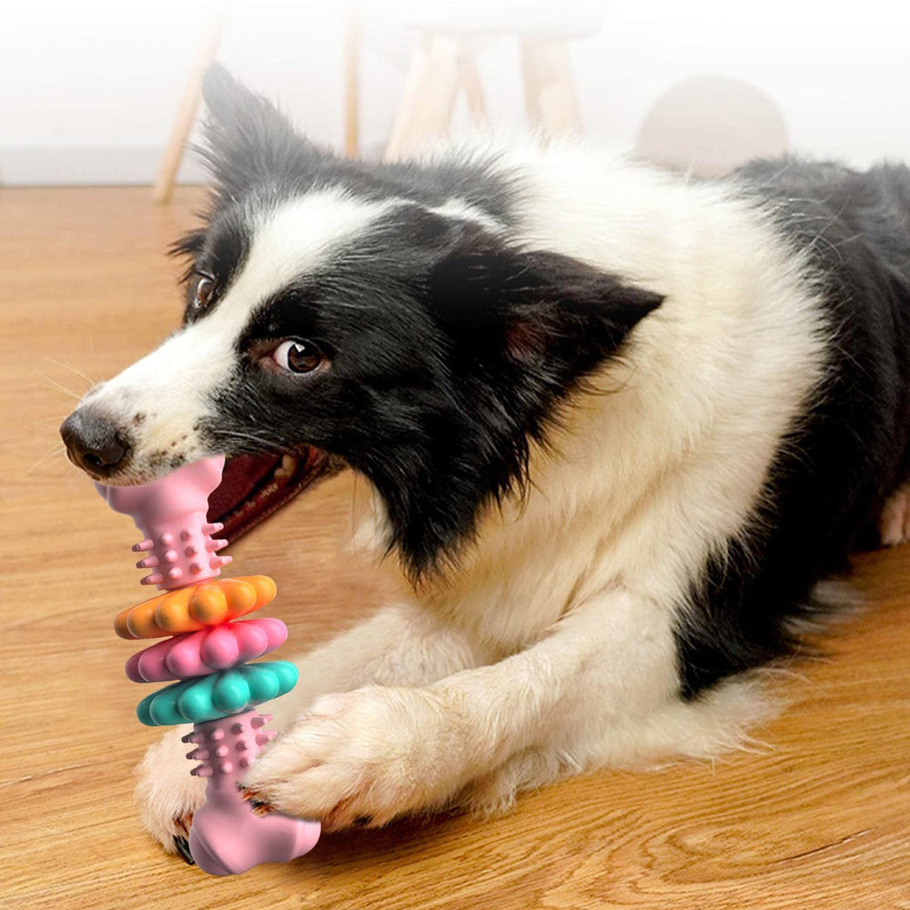 ToyTigris TPR Dental Chew Toy for Dogs