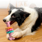 ToyTigris TPR Dental Chew Toy for Dogs