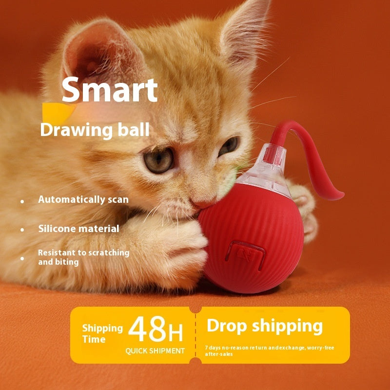 ToyTigris Super Drive Smart Katzen-Spielball