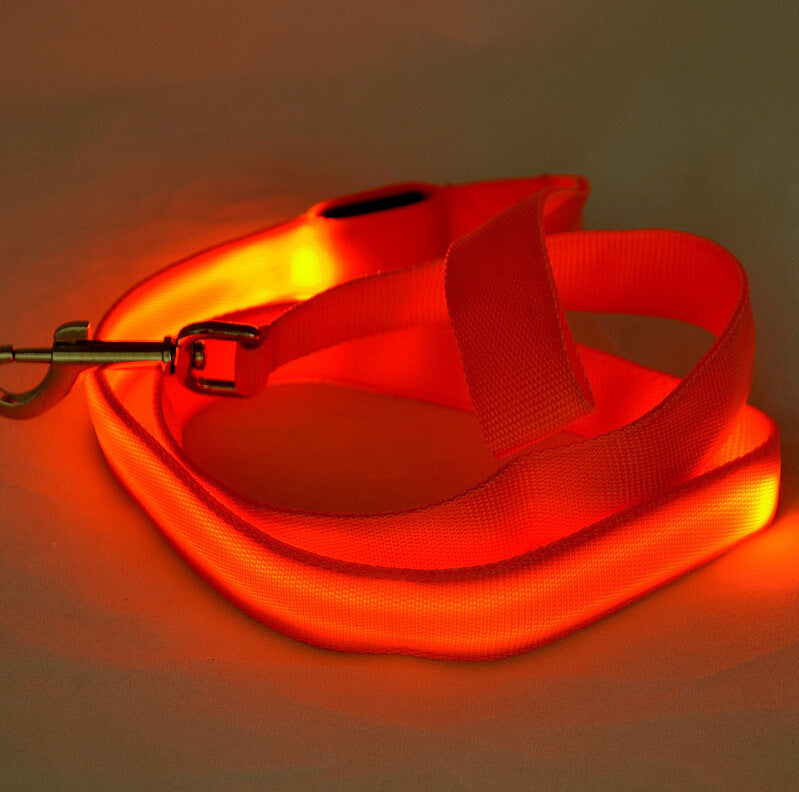 Toytigris LED Dog Leash