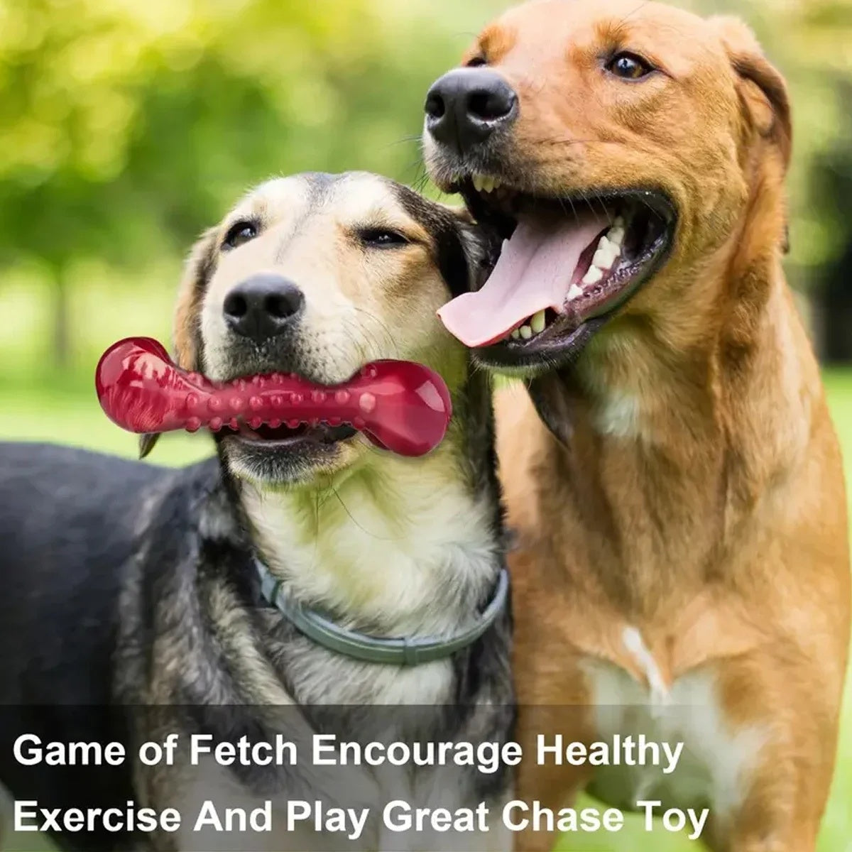 Natural Rubber Dog Bite Toy